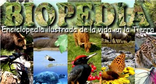 animales y naturaleza